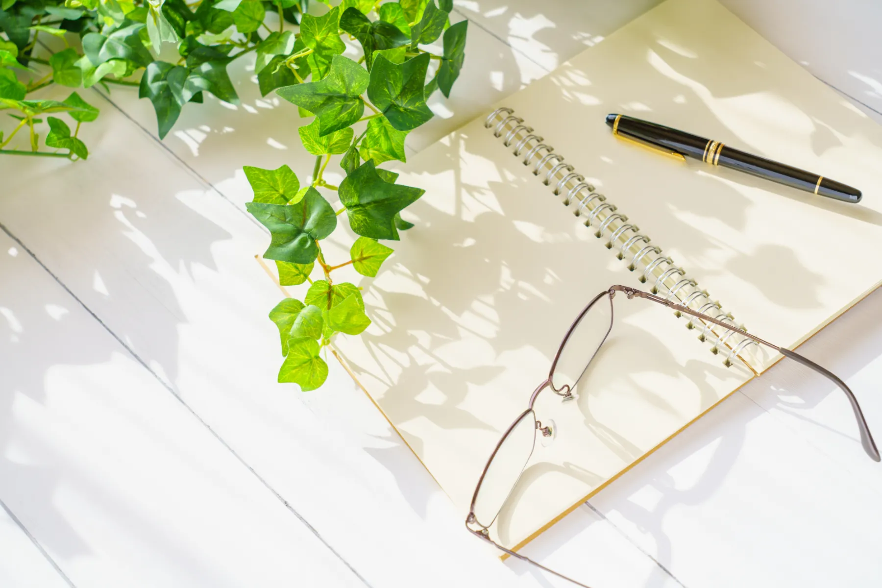 ホームページをリニューアルしました